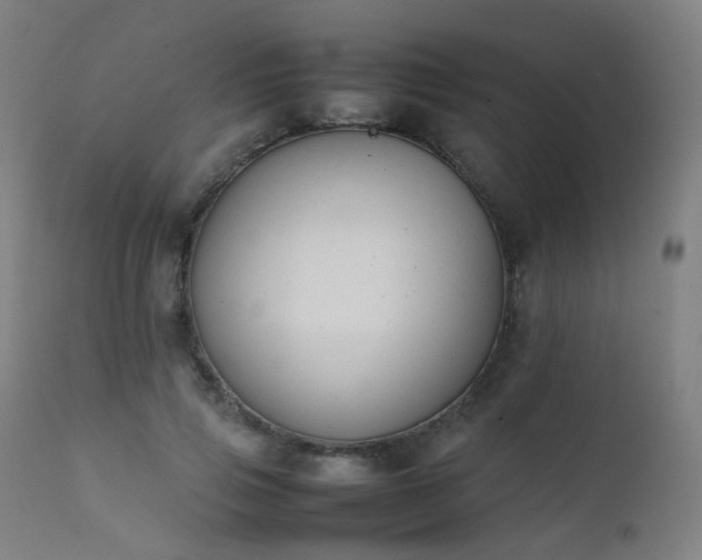 X0000111370741200907171157