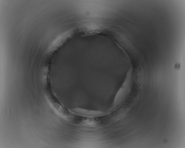 X0000111370742200907171157