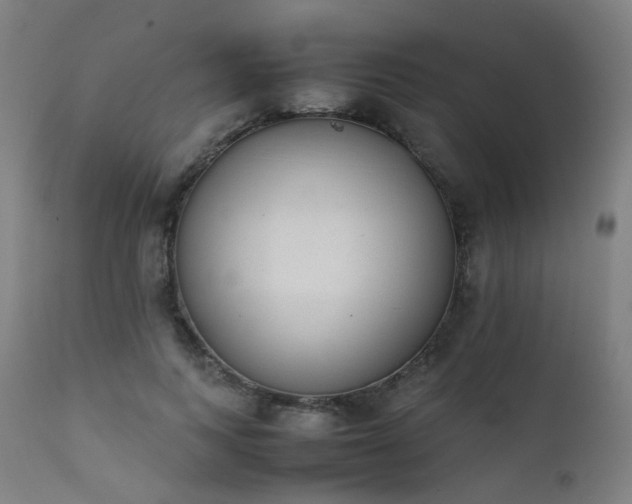 X0000111370743200907171157