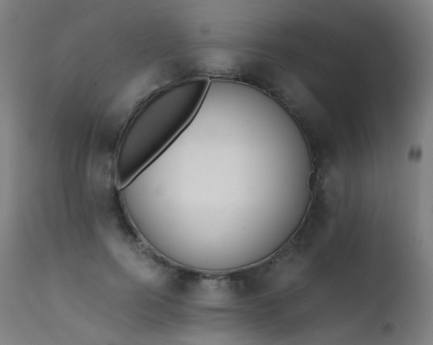 X0000111370744200907171157