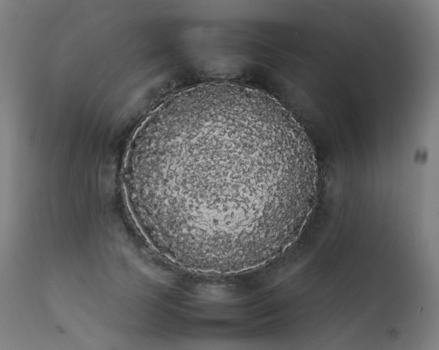 X0000111370745200907171157