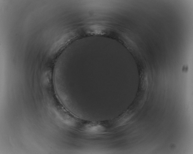 X0000111370747200907171157