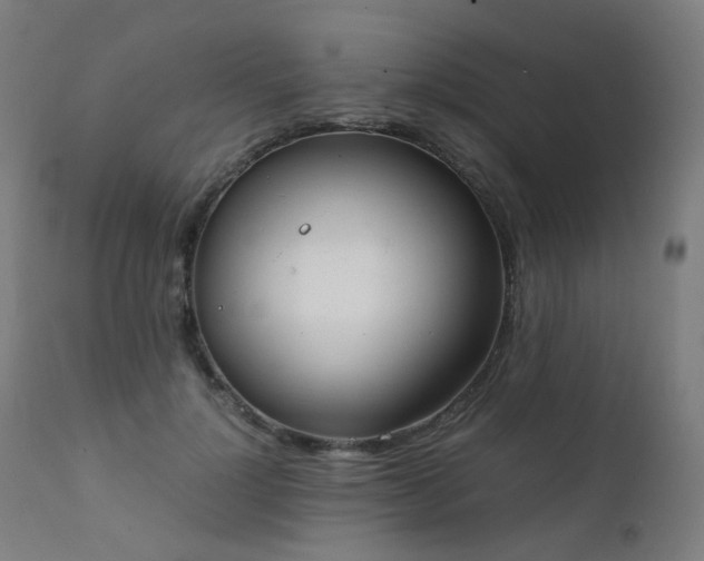 X0000111370748200907171157