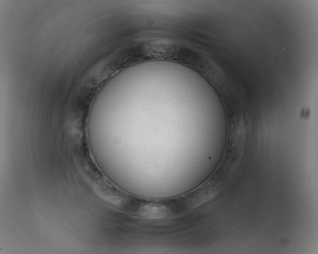 X0000111370749200907171157