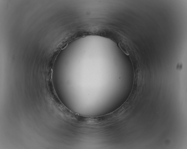 X0000111370750200907171157