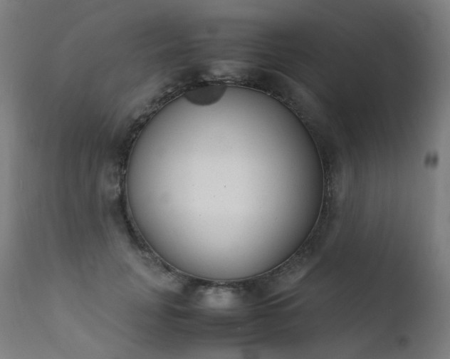 X0000111370751200907171157