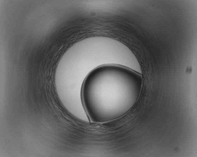 X0000111370752200907171157