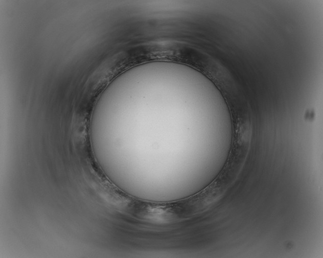 X0000111370753200907171158