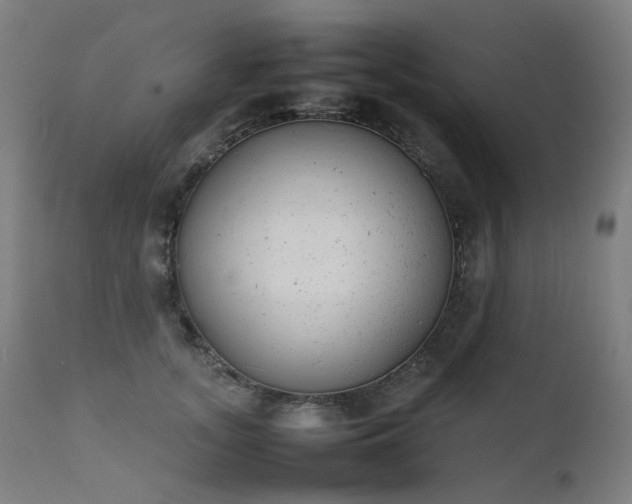 X0000111370755200907171158