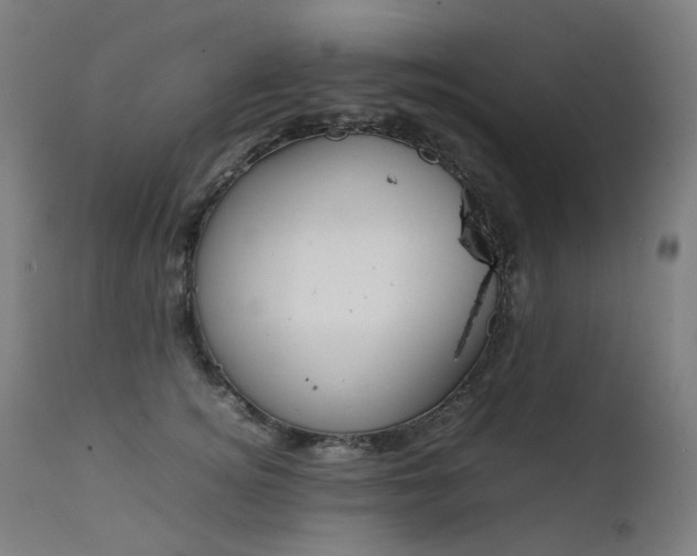 X0000111370756200907171158