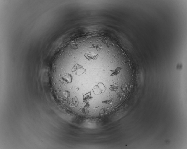 X0000111370757200907171158