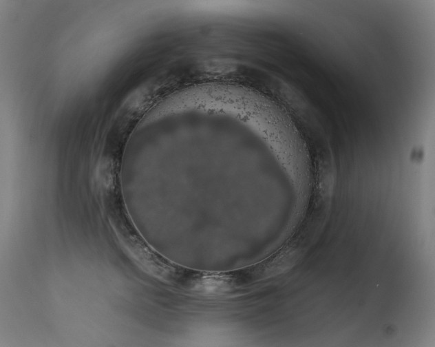 X0000111370758200907171158