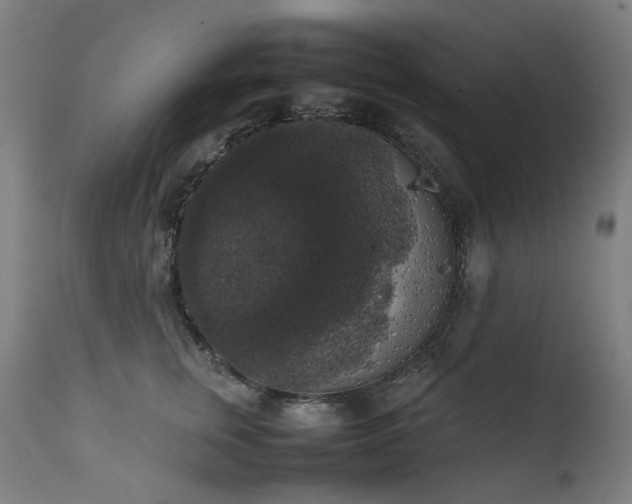 X0000111370759200907171158