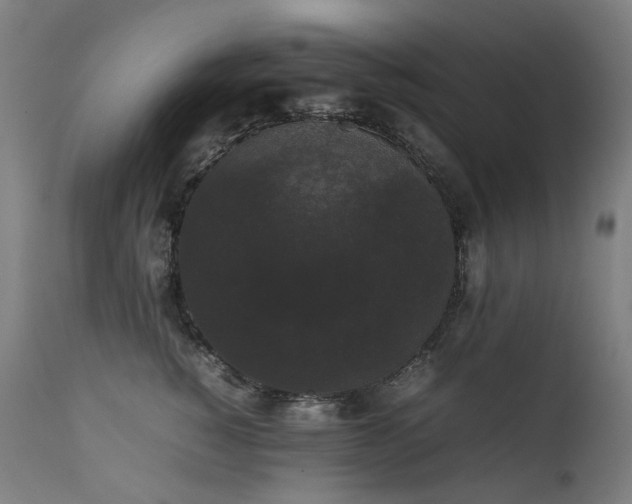 X0000111370760200907171158