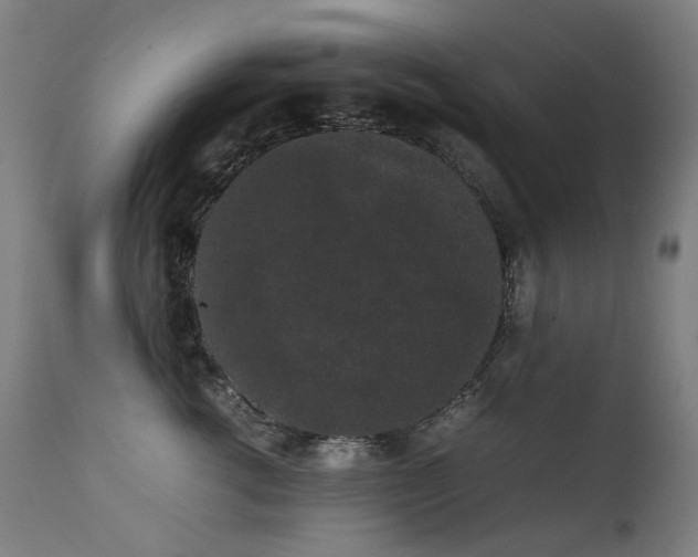 X0000111370762200907171158