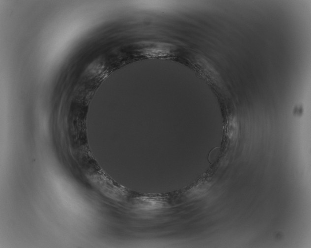 X0000111370763200907171158