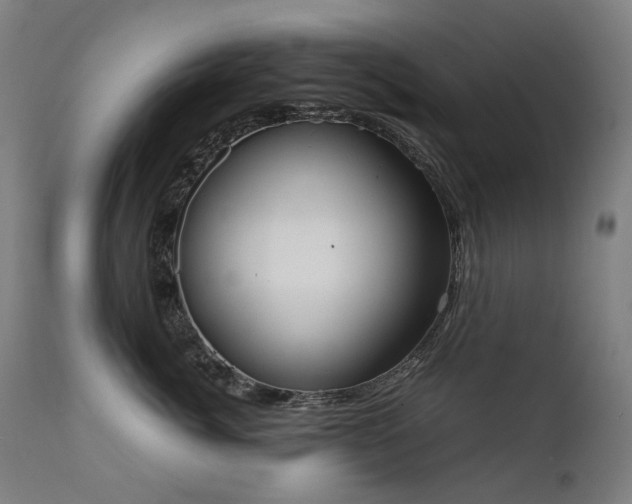 X0000111370764200907171158