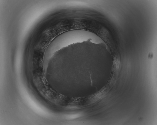 X0000111370765200907171158