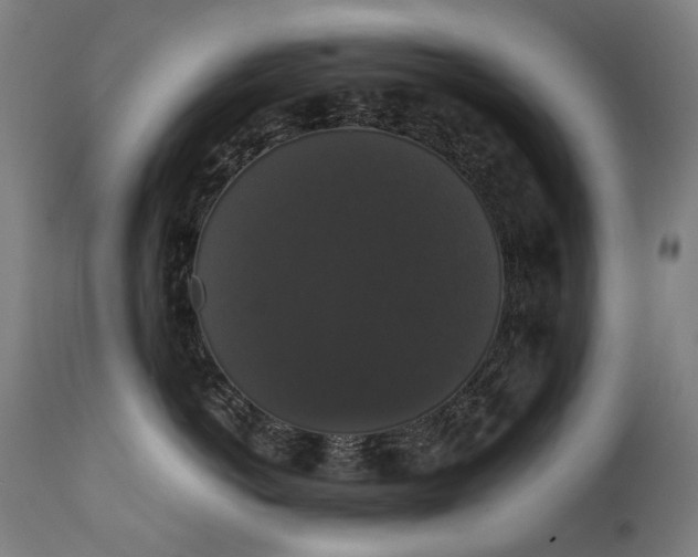 X0000111370766200907171158