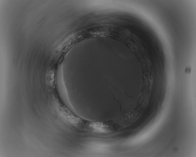 X0000111370767200907171158