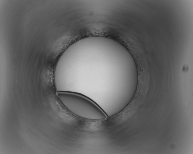 X0000111370768200907171158