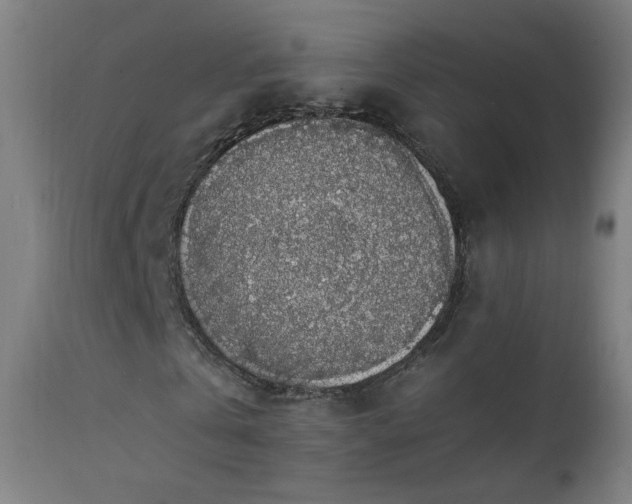 X0000111370769200907171157