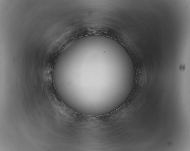 X0000111370770200907171157