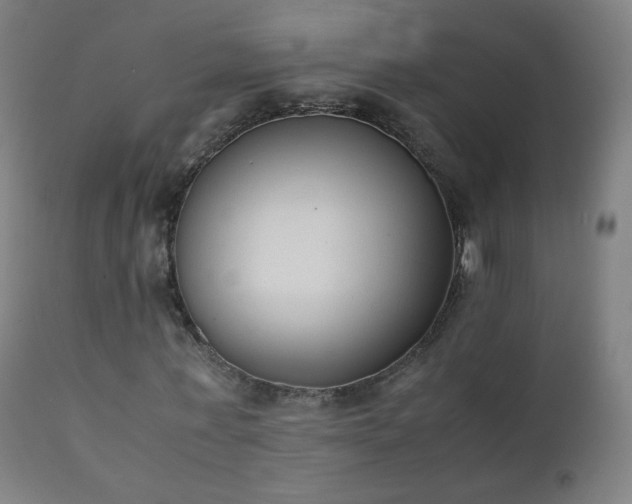 X0000111370771200907171157