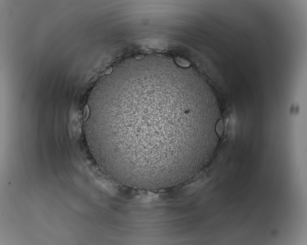 X0000111370772200907171157