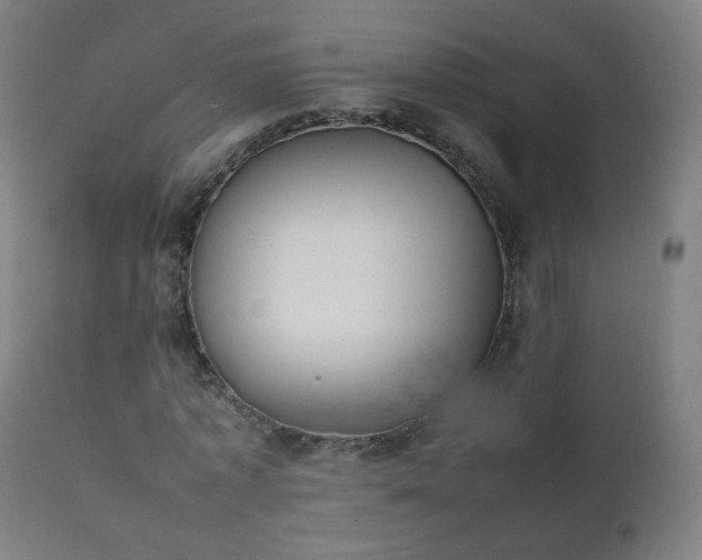 X0000111370773200907171157