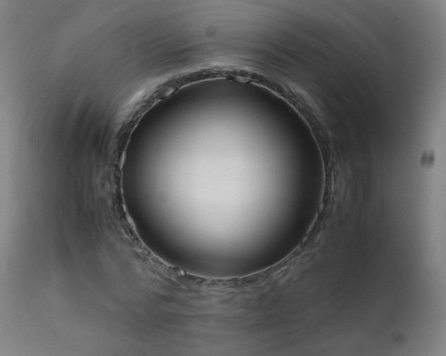 X0000111370776200907171157