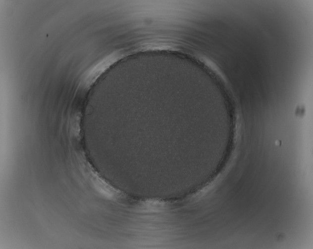 X0000111370777200907171157