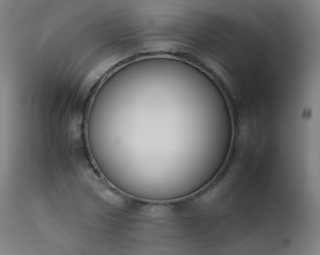 X0000111370778200907171157