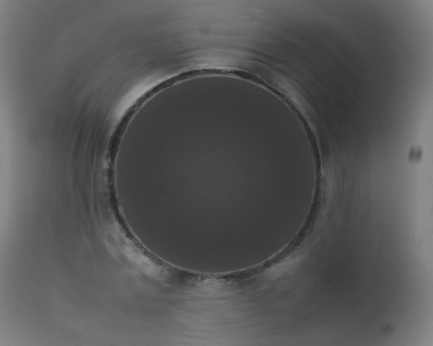 X0000111370779200907171157