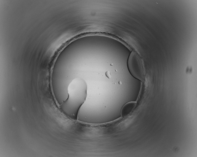 X0000111370781200907171157