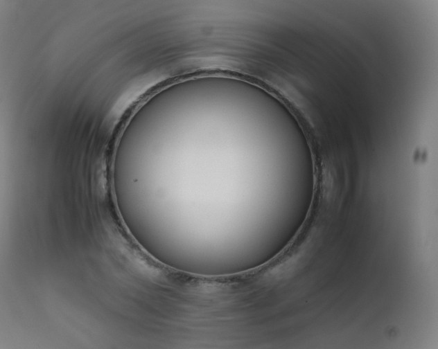 X0000111370782200907171157