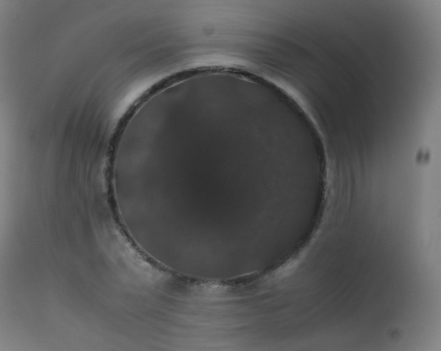 X0000111370783200907171157