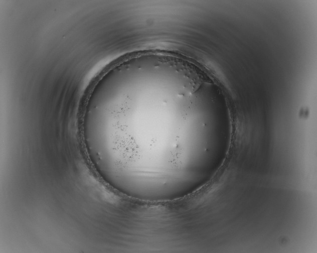 X0000111370784200907171157