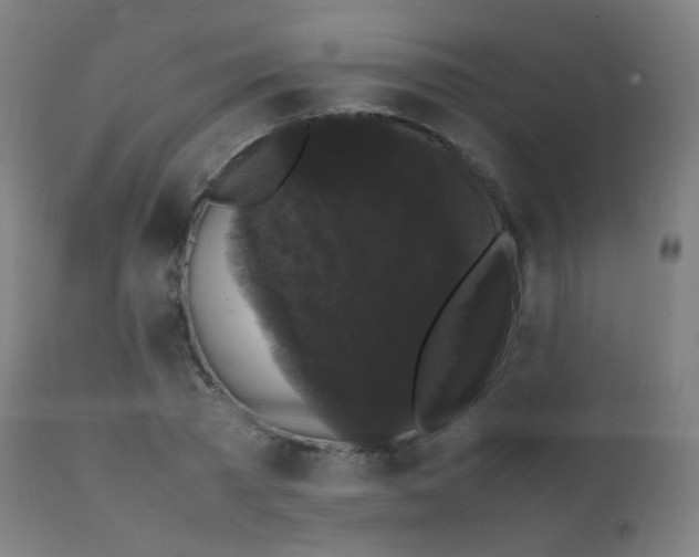 X0000111370785200907171157