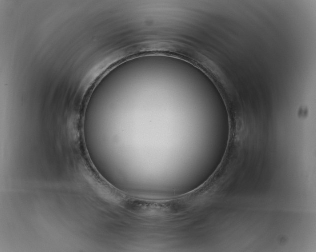 X0000111370786200907171157