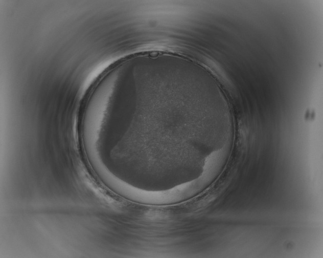 X0000111370788200907171157