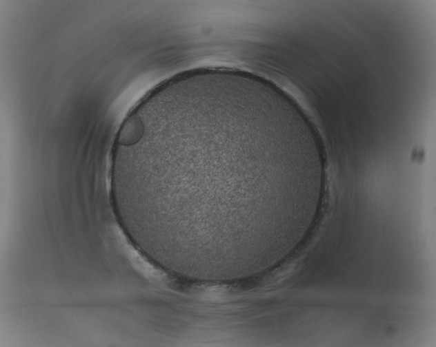 X0000111370791200907171157