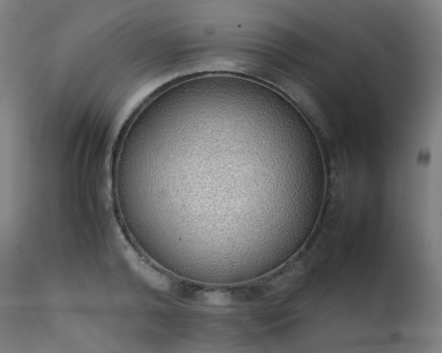 X0000111370792200907171157