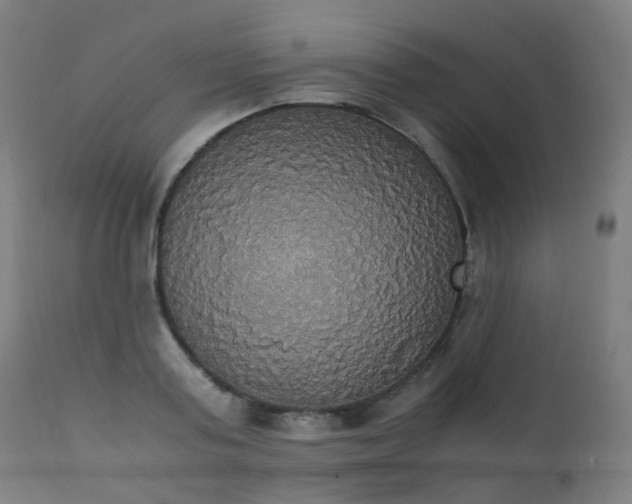 X0000111370795200907171157