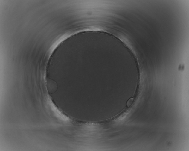 X0000111370797200907171157