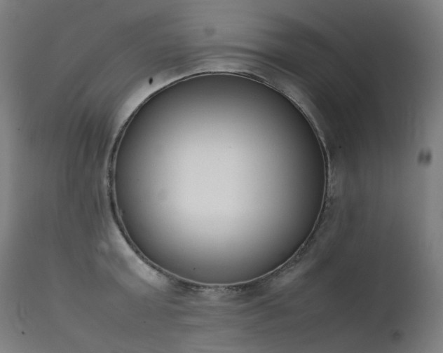 X0000111370803200907171157