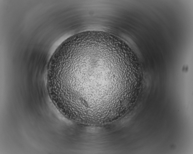 X0000111370804200907171157