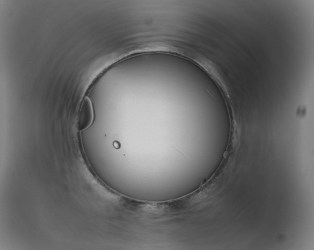 X0000111370805200907171157