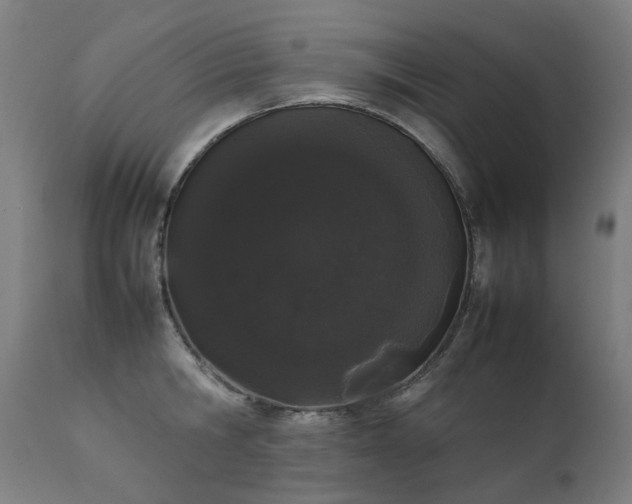 X0000111370806200907171157