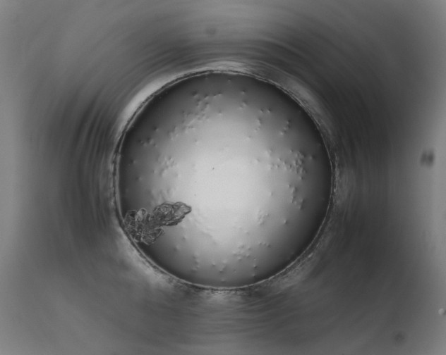 X0000111370808200907171157